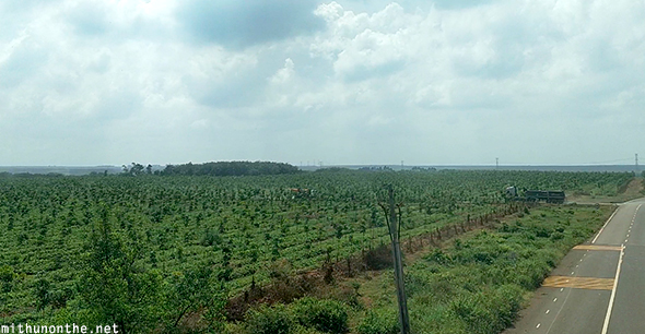 Agriculture land highway Vietnam