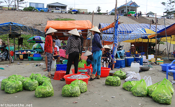 Bags of seafood fishing village Vietnam