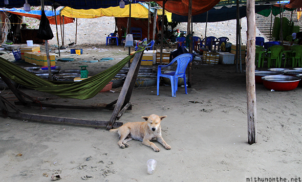 Canopy sleeping dog beach Vietnam