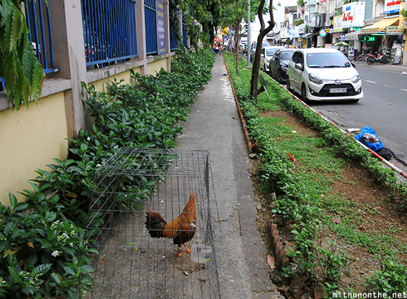 Tan Dinh chicken on street Vietnam