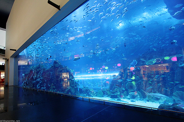 Dubai Mall Aquarium glass