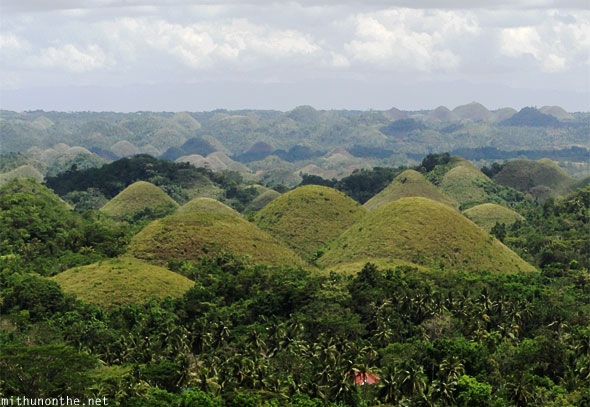 Chocolate Hills round Bohol closeup panorama