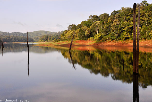 Thekkady Periyar lake trees water Kerala India
