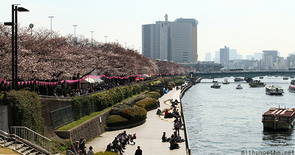 Sumida-gawa from sakura bashi bridge
