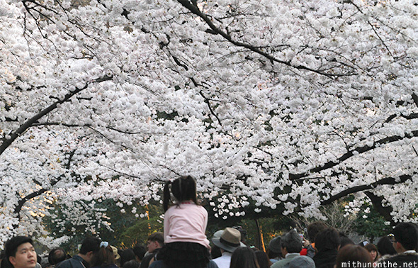 Little girl on shoulder Ueno park
