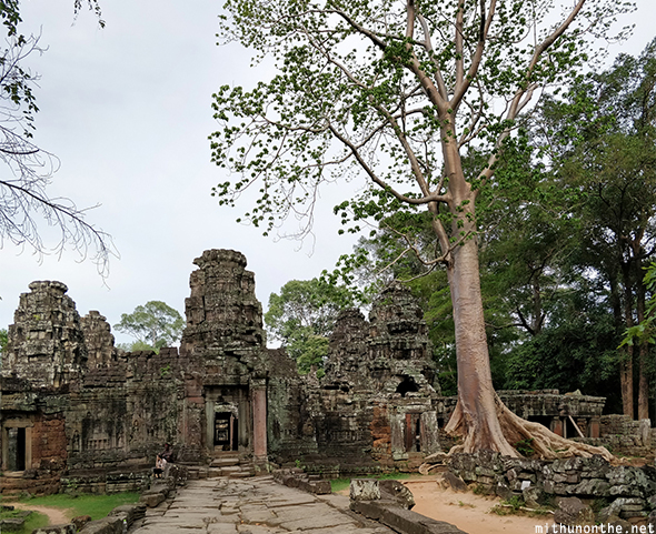 Banteay kdei temple Siem Reap Cambodia