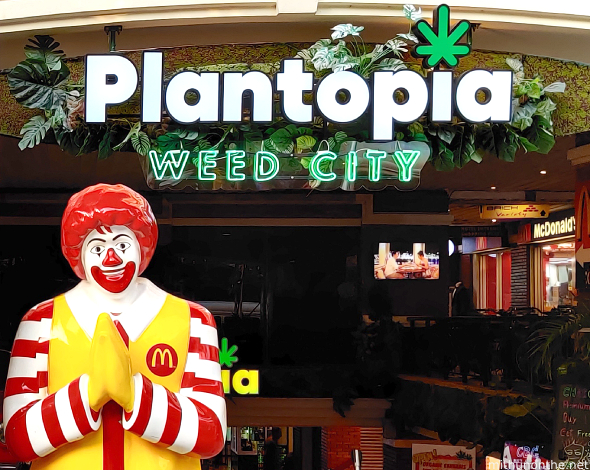 Ronald namaste Plantopia Khaosan road